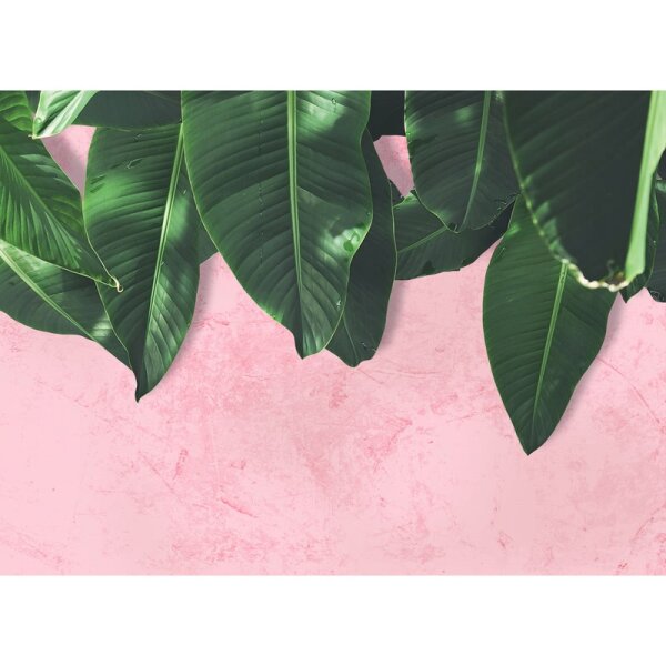 Digitaldruck-Tapete Leaves Wall 1 livingwalls (DD118544)