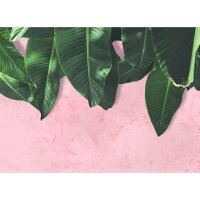 Digitaldruck-Tapete Leaves Wall 1 livingwalls (DD118544)