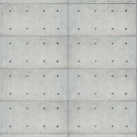 Digitaldruck-Tapete Grau, Silber Rasch (425826)