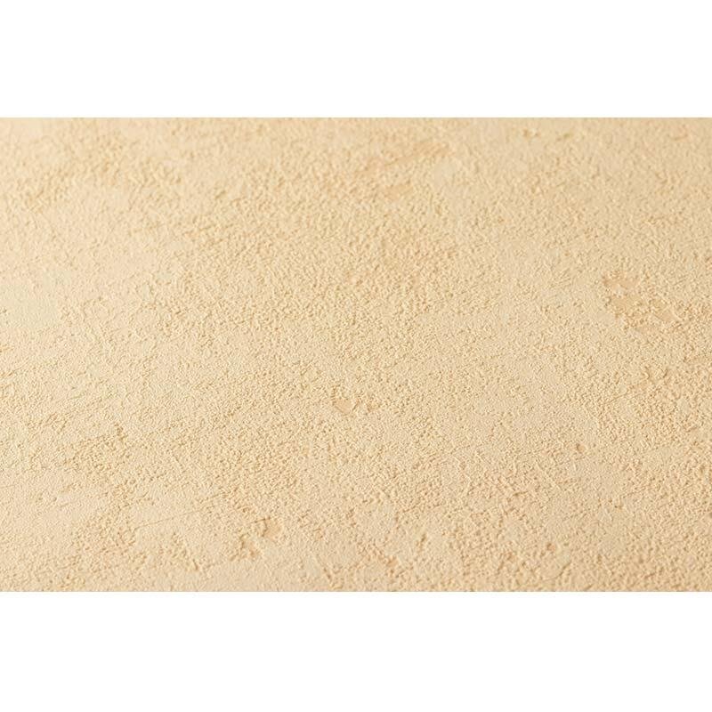 Tapete Orange, Terrakotta AS-Creation Vliestapete (224071)