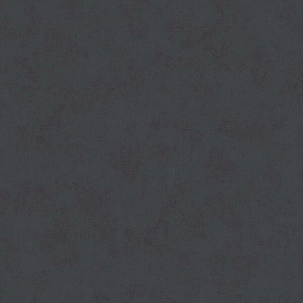 Tapete Schwarz, Anthrazit AS-Creation Vliestapete (374455)