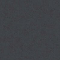 Tapete Schwarz, Anthrazit AS-Creation Vliestapete (374455)