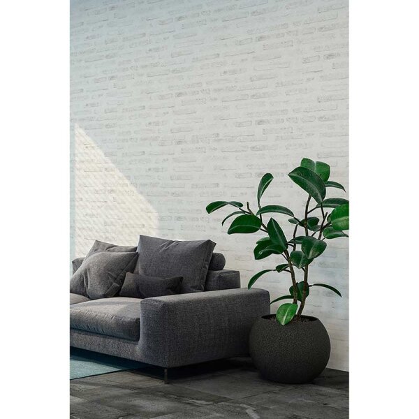 Tapete Beige, Creme AS-Creation Vliestapete (374222)