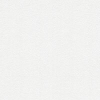 Tapete Wei&szlig; &Uuml;berstreichbar AS-Creation (245816)