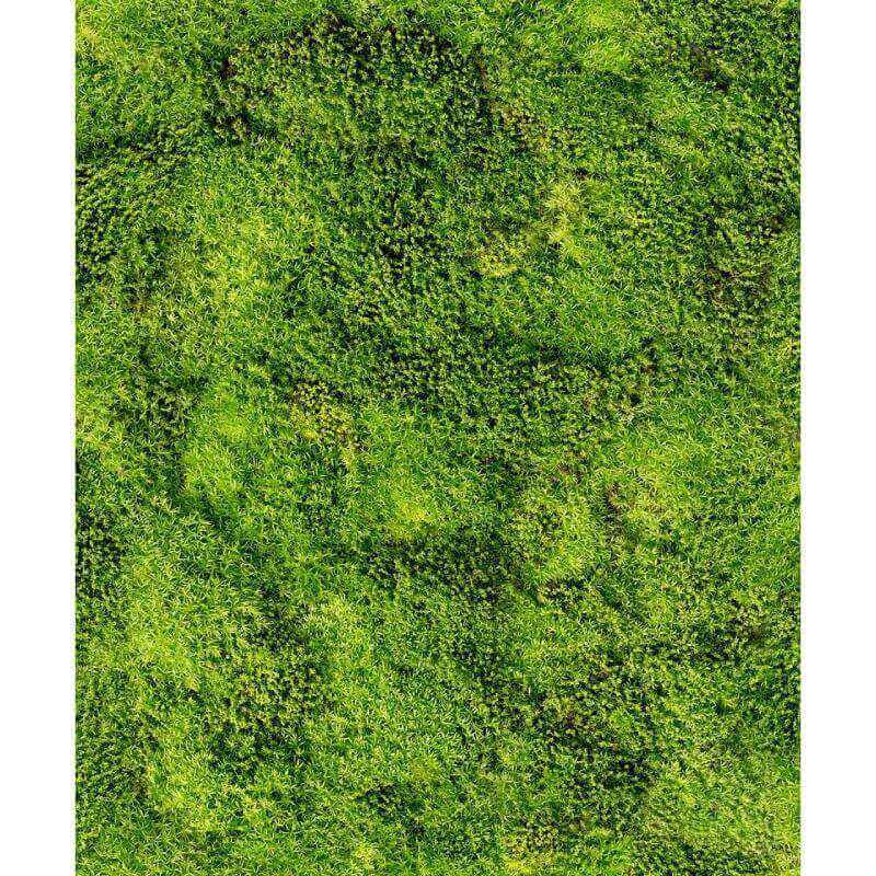 Tapete Grün Marburg Vliestapete (45733)