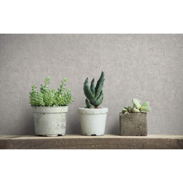 Tapete Grau Marburg Vliestapete (34518)