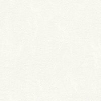 Tapete Wei&szlig; &Uuml;berstreichbar AS-Creation...