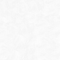 Tapete Wei&szlig; &Uuml;berstreichbar Patent Decor...