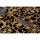 Tapete Gold, Kupfer, Schwarz, Anthrazit VERSACE Vliestapete (370531)