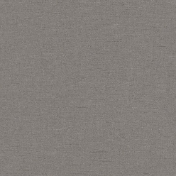 Tapete Grau, Silber Rasch Vliestapete (448627)