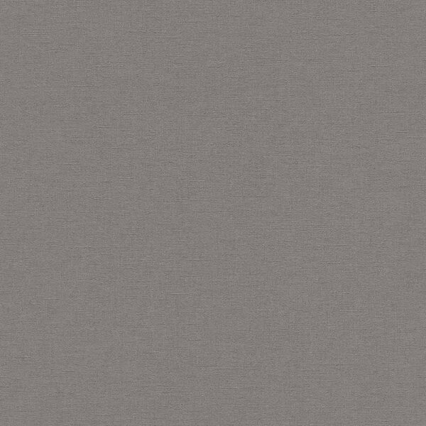 Tapete Grau, Silber Rasch Vliestapete (448627)