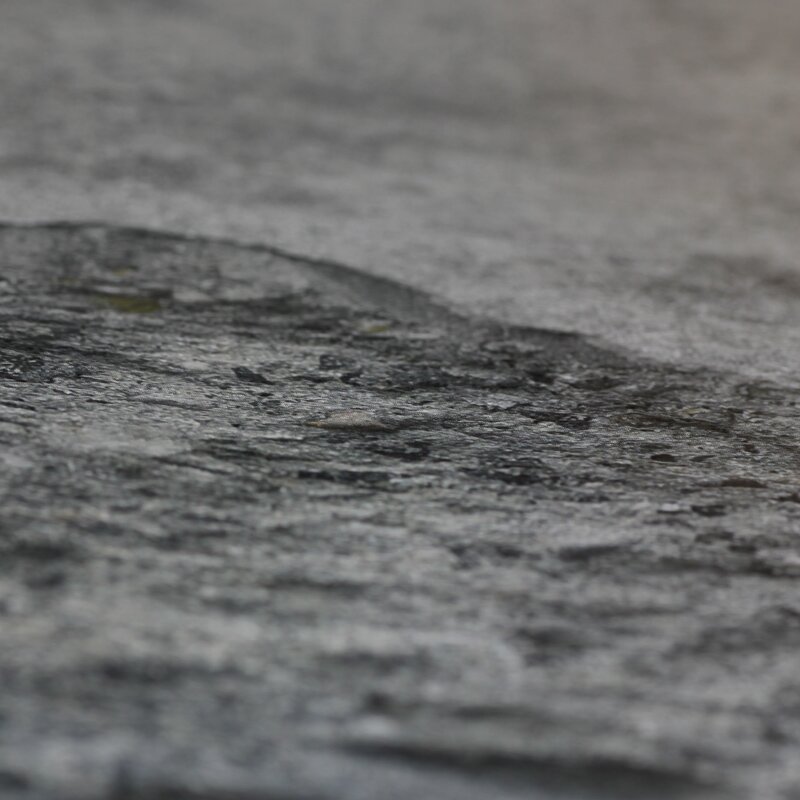 Digitaldruck-Tapete Grau, Silber Rasch (445503)