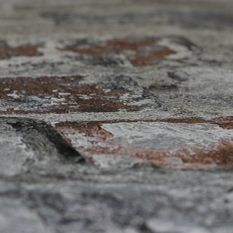 Digitaldruck-Tapete Grau, Silber Rasch (445404)