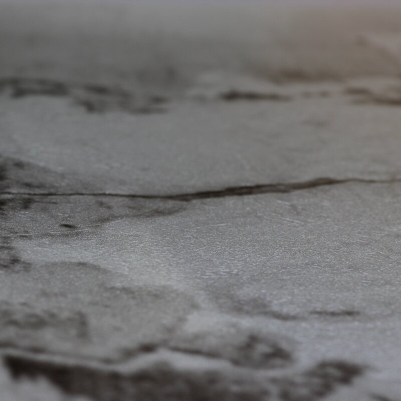 Digitaldruck-Tapete Grau, Silber Rasch (439915)