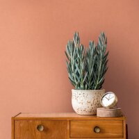 Tapete Orange Architects Paper Vliestapete (393312)