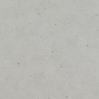 Tapete Grau, Silber Rasch Vliestapete (475210)