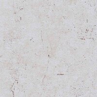 Tapete Grau, Silber AS-Creation Vliestapete (369116)