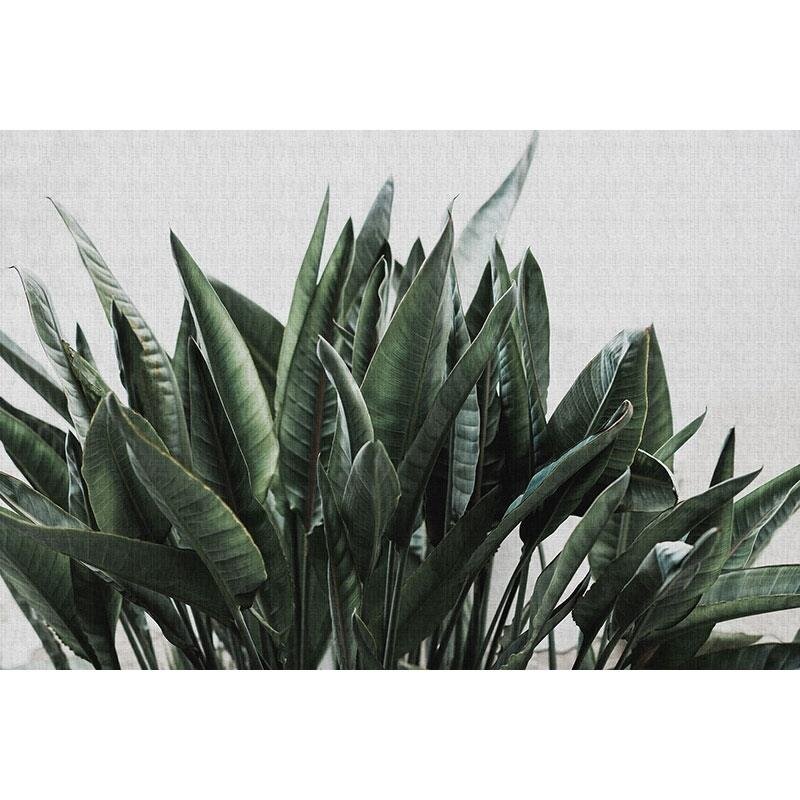 Digitaldruck-Tapete Urban jungle 2 livingwalls (114217)