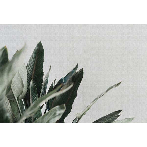 Digitaldruck-Tapete Urban jungle 1 livingwalls (114212)