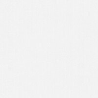 Tapete Wei&szlig; &Uuml;berstreichbar AS-Creation (306616)