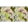 Digitaldruck-Tapete Vintage bloom 1 livingwalls (114102)
