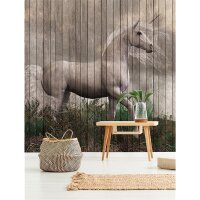 Digitaldruck-Tapete Fantasy 3 livingwalls (113957)