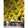 Digitaldruck-Tapete Wild roses 5 livingwalls (113917)