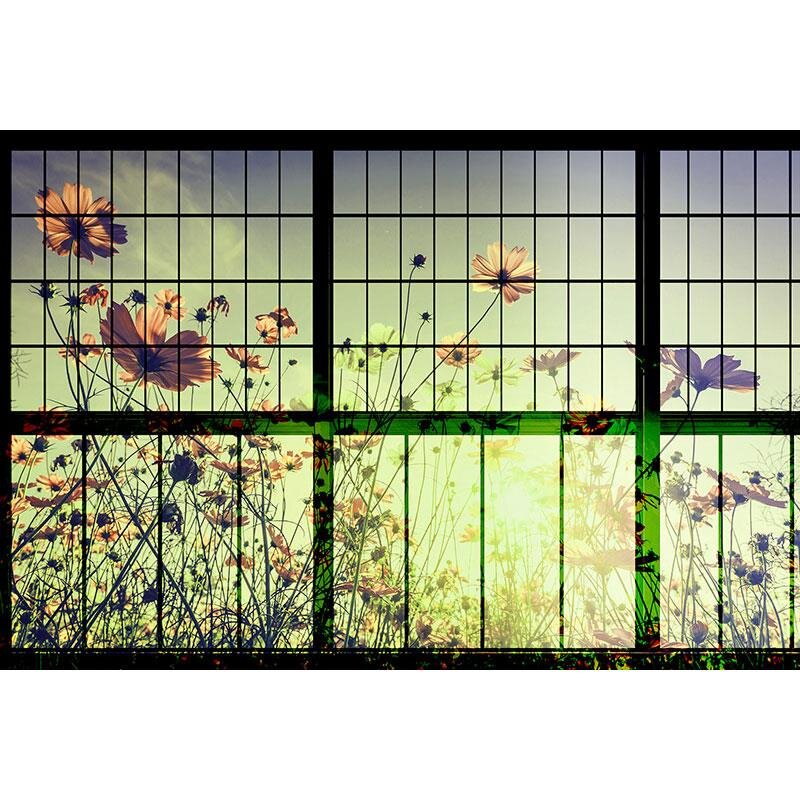 Digitaldruck-Tapete Meadow 2 livingwalls (113752)