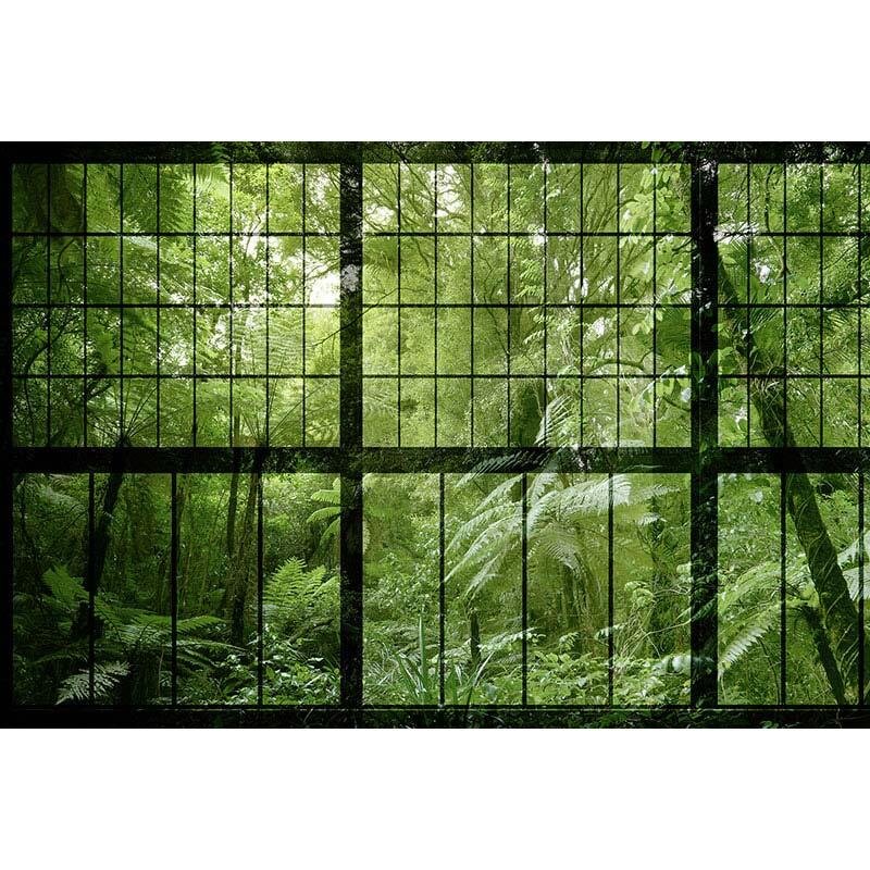 Digitaldruck-Tapete Rainforest 2 livingwalls (113742)