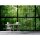 Digitaldruck-Tapete Rainforest 2 livingwalls (113742)