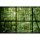 Digitaldruck-Tapete Rainforest 2 livingwalls (113742)