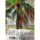 Digitaldruck-Tapete Tahiti 3 livingwalls (113682)
