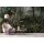 Digitaldruck-Tapete Jungle 2 livingwalls (DD110696)