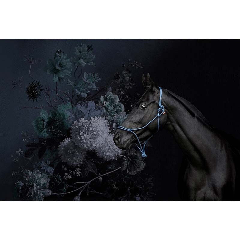 Digitaldruck-Tapete Horses 2 livingwalls (DD110646)