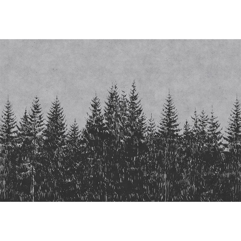 Digitaldruck-Tapete Black Forest 3 livingwalls (DD110521)