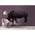 Digitaldruck-Tapete Rhino 2 livingwalls (DD110506)
