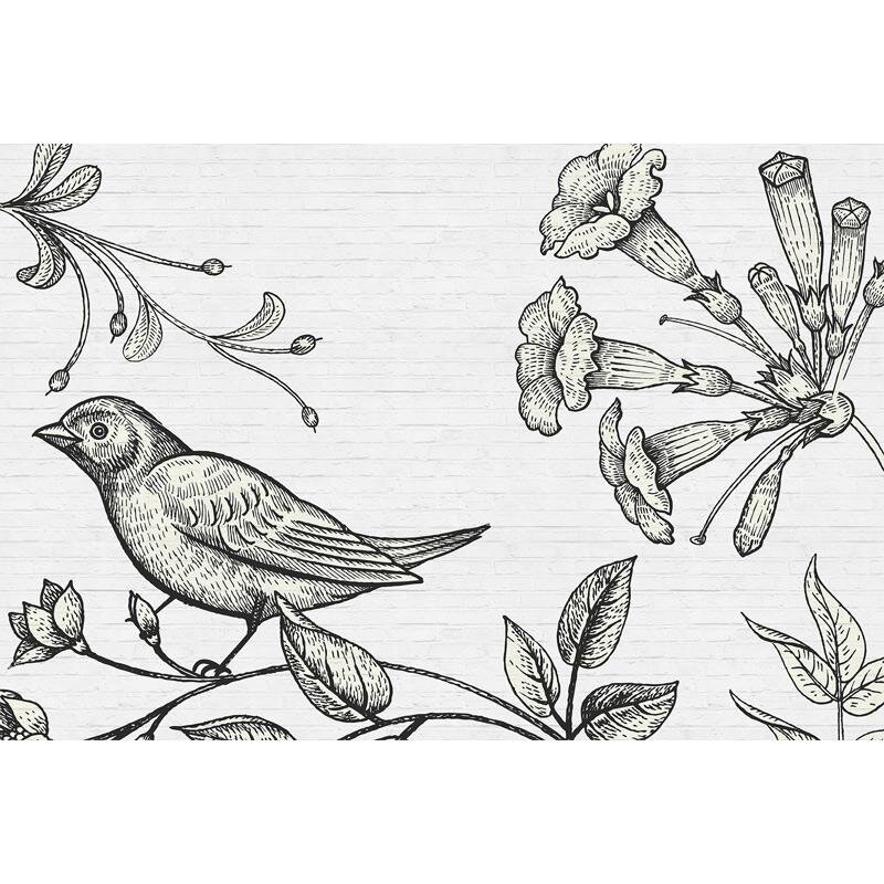 Digitaldruck-Tapete Birdy 3 livingwalls (DD110426)