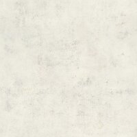 Tapete Grau, Silber Rasch Vliestapete (939507)