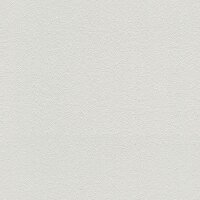 Tapete Wei&szlig; &Uuml;berstreichbar AS-Creation (570314)