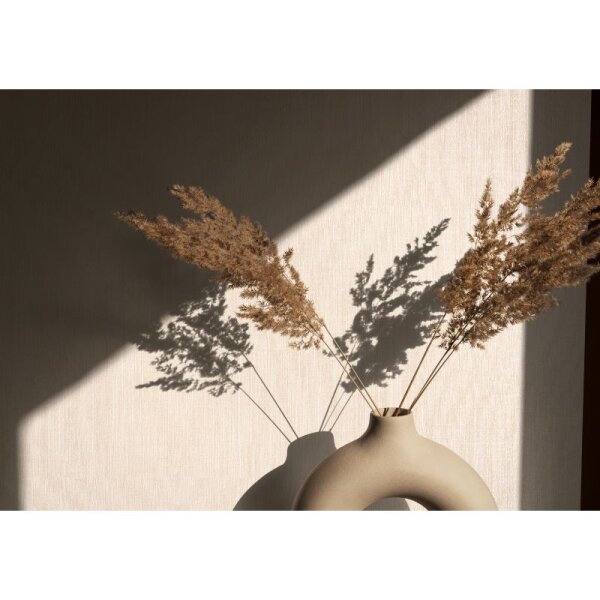 Tapete Beige, Creme Novamur Vliestapete (82433)