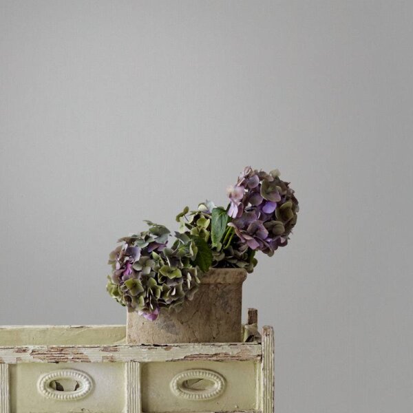 Tapete Grau Novamur Vliestapete (82409)