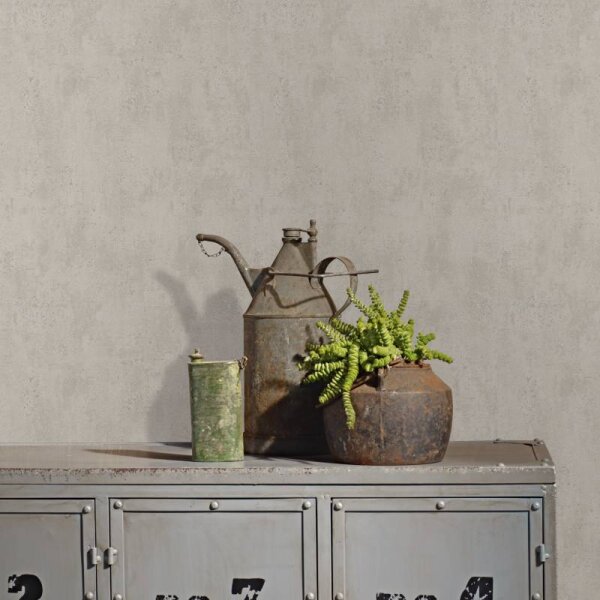 Tapete Greige Novamur Vliestapete (82399)