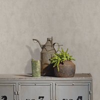 Tapete Greige Novamur Vliestapete (82399)