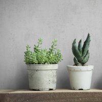 Tapete Greige Novamur Vliestapete (82396)