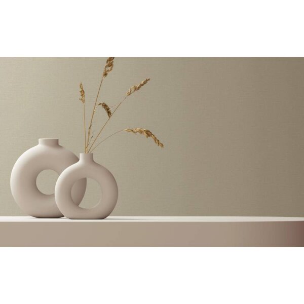 Tapete Greige Novamur Vliestapete (82432)