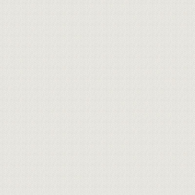 Glasfasertapete Weiß AS-Creation (90321)
