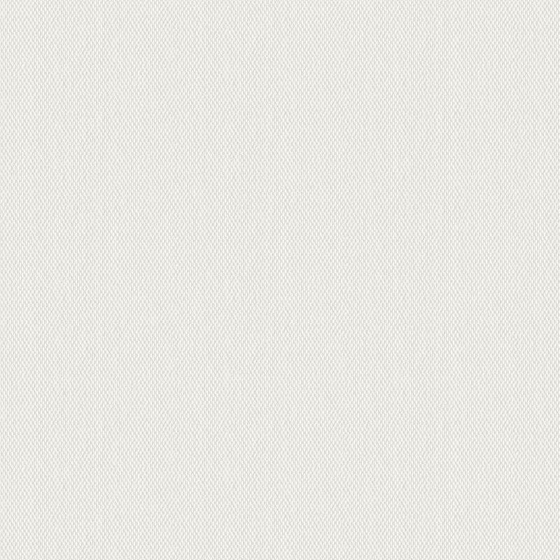 Glasfasertapete Weiß AS-Creation (90331)