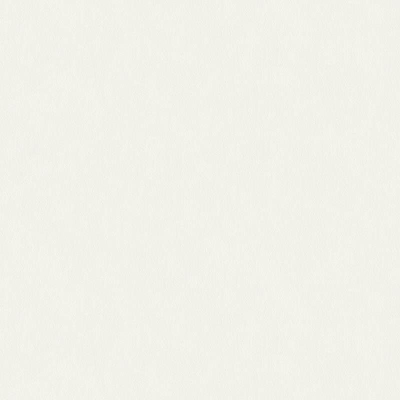 Glasfasertapete Weiß AS-Creation (90351)