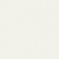 Glasfasertapete Wei&szlig; AS-Creation (90351)