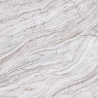 Digitaldruck-Tapete Beige, Creme, Grau, Silber Rasch...